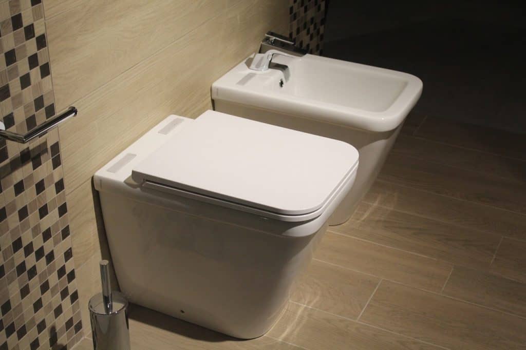 Can a Bidet Be Used as a Toilet