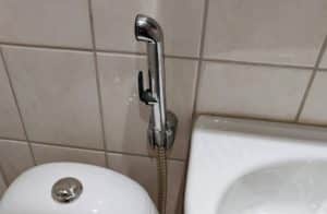 Can a Bidet Give You an Enema Are Bidet Enemas Safe
