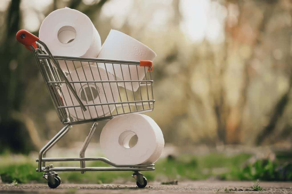 Can a Bidet Replace Toilet Paper