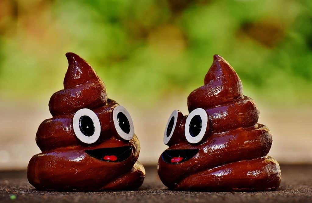 Do Bidets Get Poop on Them?