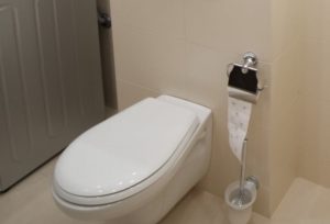 A tankless toilet