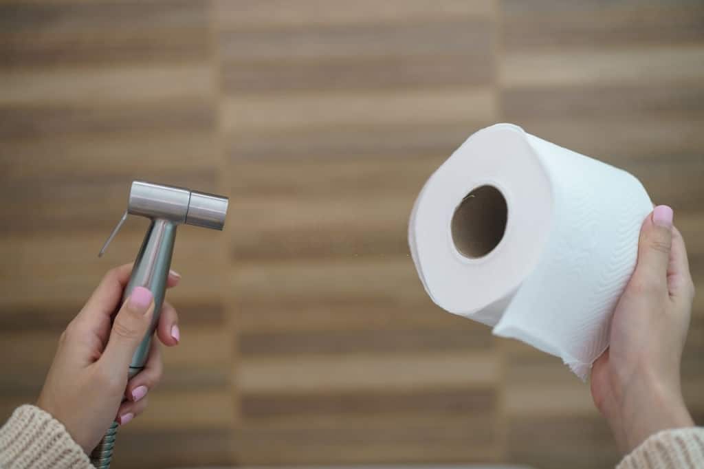 Bidet or Toilet Paper