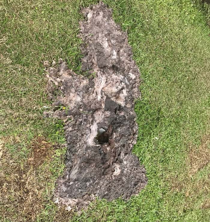 Are Bidets Good for Septic Tanks