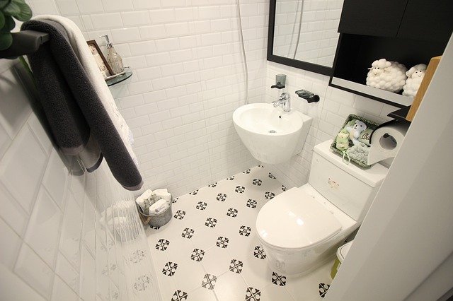 Best Bidet for an American Standard Toilet