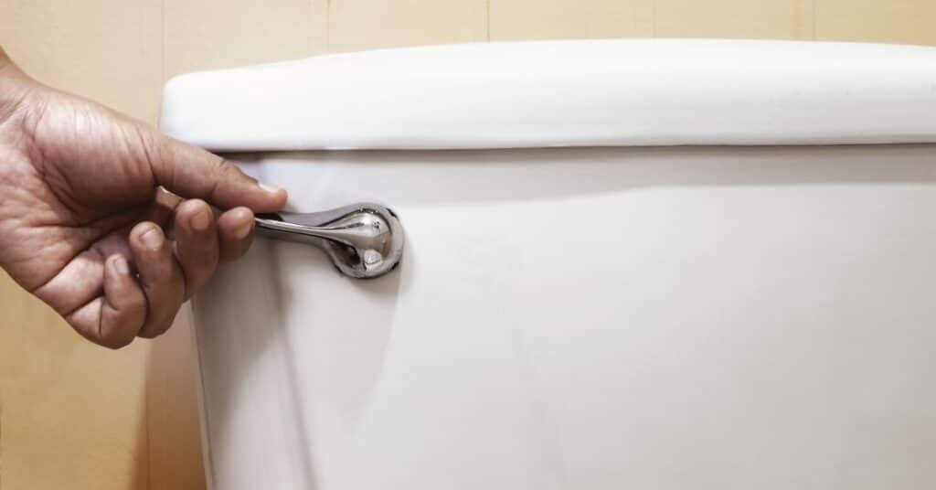 Toilet Flushes But Poop Stays