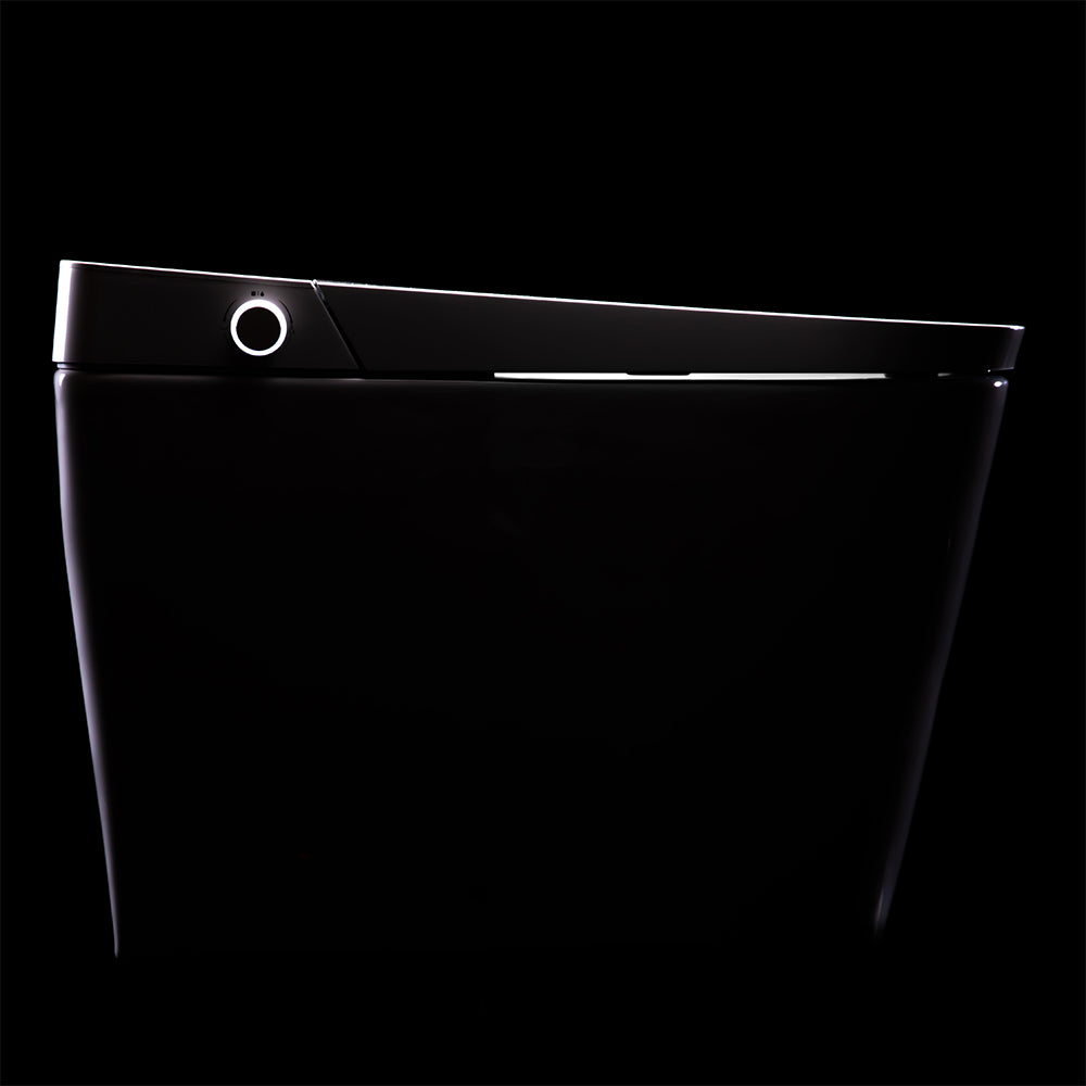 Fully skirted one-piece design with the slim upper half. Photo: Bidet King.